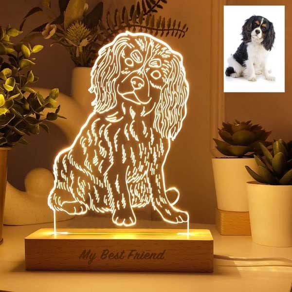 Personalisierte 3D-Illustrationslampe
