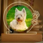 Lámpara Mascota con Foto personalizada Miniatura de Lámpara Mascota con Foto personalizada