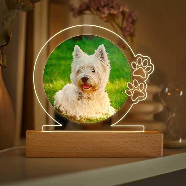 Lampada Mascotte con Foto personalizzata