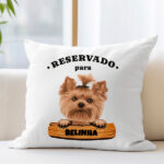 Almofada Placa com Nome de Animal de Estimação personalizada Miniatura de Almofada Placa com Nome de Animal de Estimação personalizada